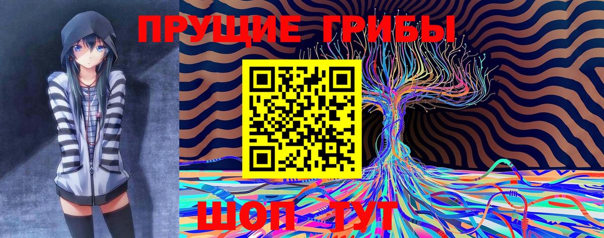 Псилоцибиновые грибы Magic Shrooms  Вход с VPN  Кандалакша 
